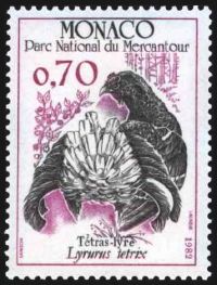  Oiseaux du parc national du Mercantour : Lyrurus tetrix 