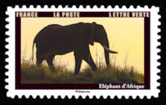  Les animaux au crépuscule <br>Eléphant d’Afrique