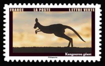  Les animaux au crépuscule <br>Kangourou géant