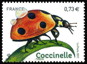 Les insectes - La Coccinelle 
