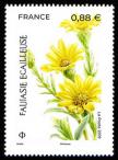 timbre N° 5323, Faujasie écailleuse - La flore en danger -