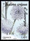 timbre N° 5654, Fleurs des montagnes