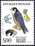 timbre N° 2340, Faucon Pélerin (Falco P Peregrinus)