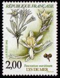 timbre N° 2766, Plantes des marais - Lys de mer