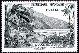  Guadeloupe - La rivière Sens 