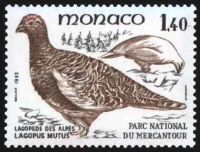  Oiseaux du parc national du Mercantour : Lagopus mutus 