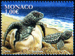 timbre de Monaco N° 3033 légende : Faune Tortues marines