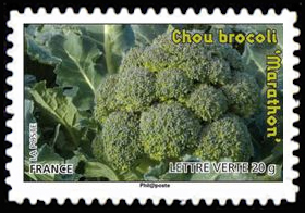  Des légumes pour une lettre verte <br>Chou brocoli