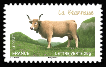  Les vaches de nos régions, races bovines rares <br>La Béarnaise