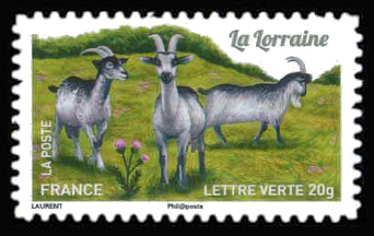 Chèvres, plus d'un million de chèvres <br>La Lorraine