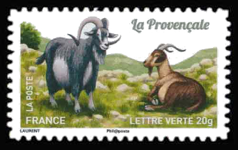  Chèvres, plus d'un million de chèvres <br>La Provençale