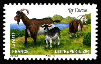  Chèvres, plus d'un million de chèvres <br>La Corse