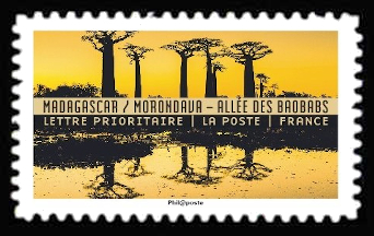  Carnet « Reflets Paysages du monde » <br>Madagascar : Morondava allée des baobabs