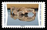 timbre N° 1815, Animaux du monde «Reflets» - Zèbres des plaines