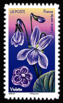  Fleurs et Douceurs <br>La violette et sa friandise