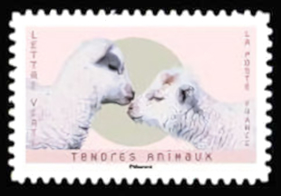  Tendres Animaux <br>Moutons