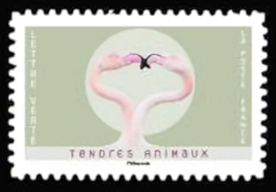  Tendres Animaux <br>Flamants roses