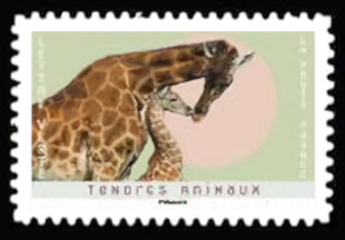  Tendres Animaux <br>Girafes