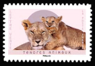  Tendres Animaux <br>Lions