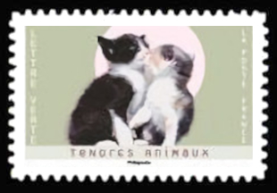  Tendres Animaux <br>Chats