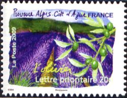  Flore des régions <br>Provence-Alpes-Côte-d'Azur - L'olivier