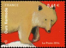  Les ours (Ours Kermode) 