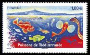  Euromed, Poissons de Méditerranée 