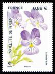 timbre N° 5321, Violette de Rouen - La flore en danger -