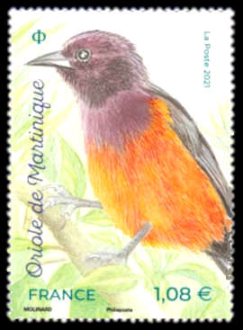  Oiseaux des îles <br>Oriole de Martinique