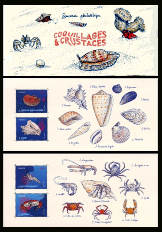  Coquillages et crustacés 