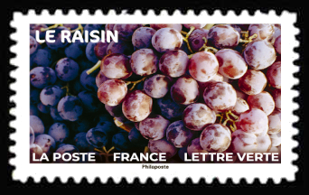  Fruits à Savourer <br>Le raisin