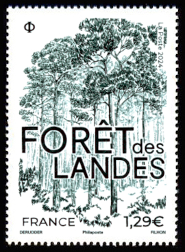  Forêt des Landes 