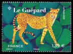 Le guépard