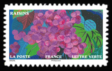  Jardin d'automne <br>Raisins