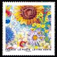  Splendeur florale 