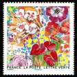  Splendeur florale 