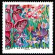  Splendeur florale 