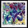  Splendeur florale 