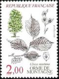 timbre N° 2385, Orme de montagne (Ulmus montana)