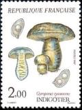timbre N° 2488, Champignons - Indigotier (Gyroporus cyanescens)
