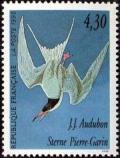  Les oiseaux de John J. Audubon - Sterne Pierre-Garin 