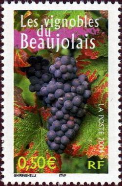  La France à vivre  Les vignobles du Beaujolais 