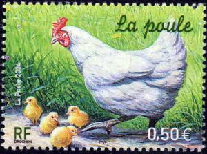  Nature de France : Animaux de la ferme, La poule 