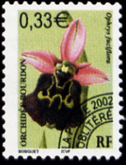  Fleurs orchidées Bourbon préoblitéré <br>Ophrys fuciflora